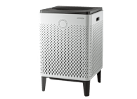 Coway Airmega 300