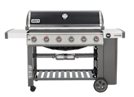 Weber genesis 610 cheap