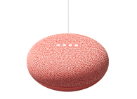 Google Nest Mini (2nd Gen)