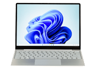 Microsoft Surface Laptop Go 2 (256GB)