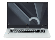 Asus Chromebook CXB170CKA-BCL64N6