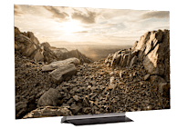 LG OLED55C5PUA