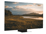 Samsung QN65S95F