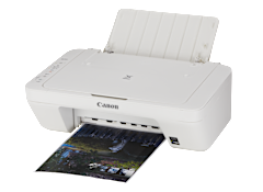 canon pixma mg2522 printer consumer