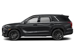 Side Profile, facing to left view of 2025 Hyundai Palisade