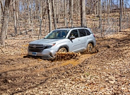 Default view of 2025 Subaru Forester Hybrid