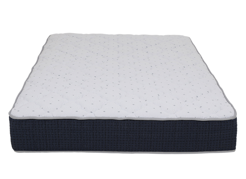 Doctor's Choice Plush product image.