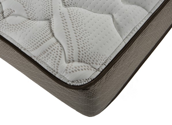 hampton rhodes plush queen mattress