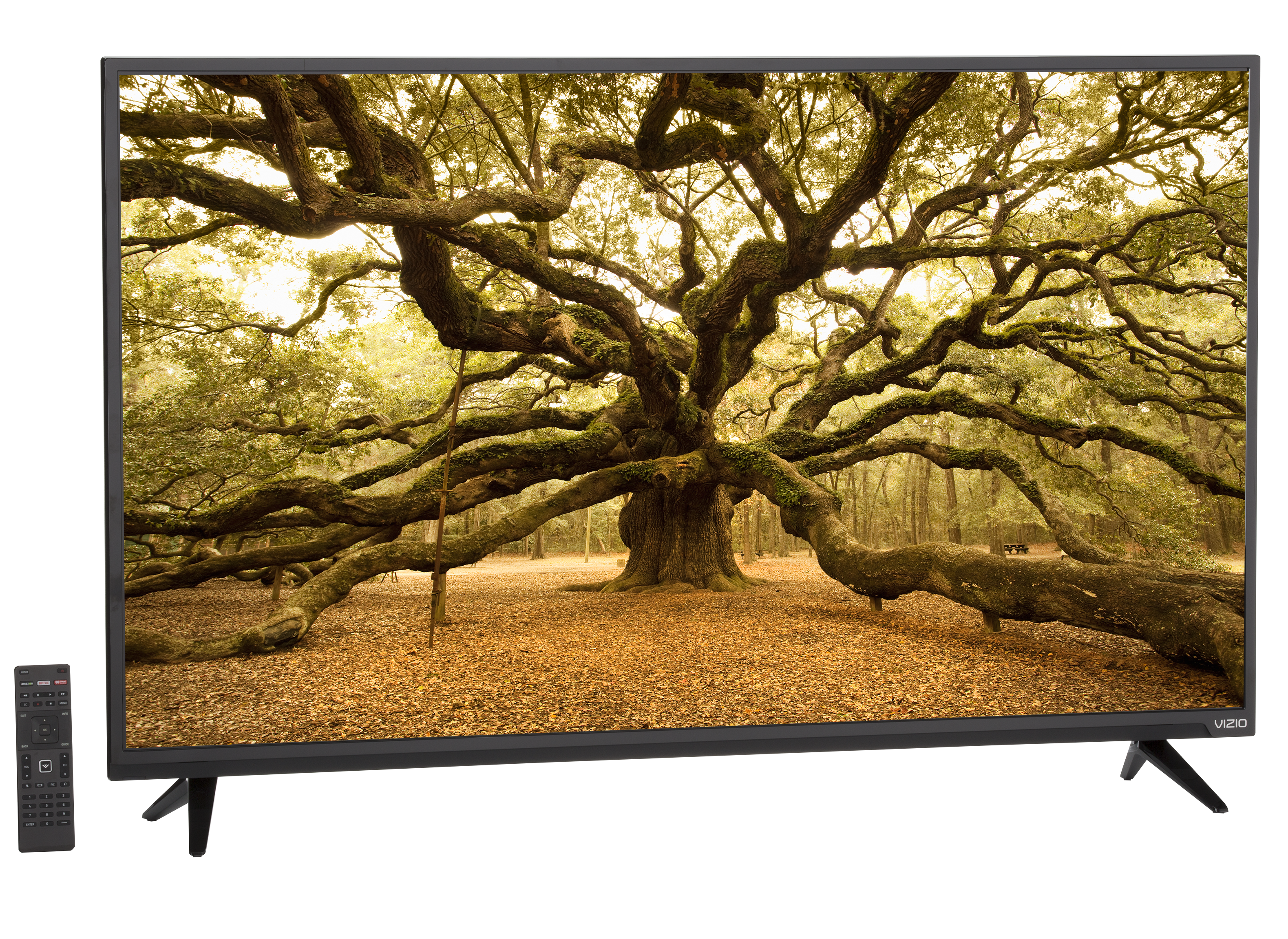 Vizio D48-D0 TV Review - Consumer Reports