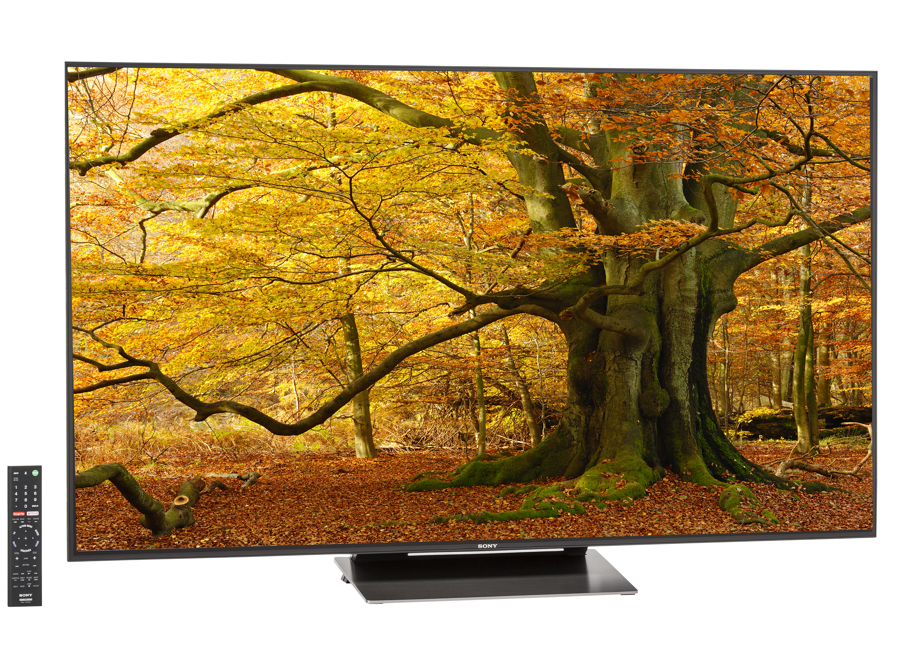 テレビ Sony55 385944-lcdledoledtvs-sony-