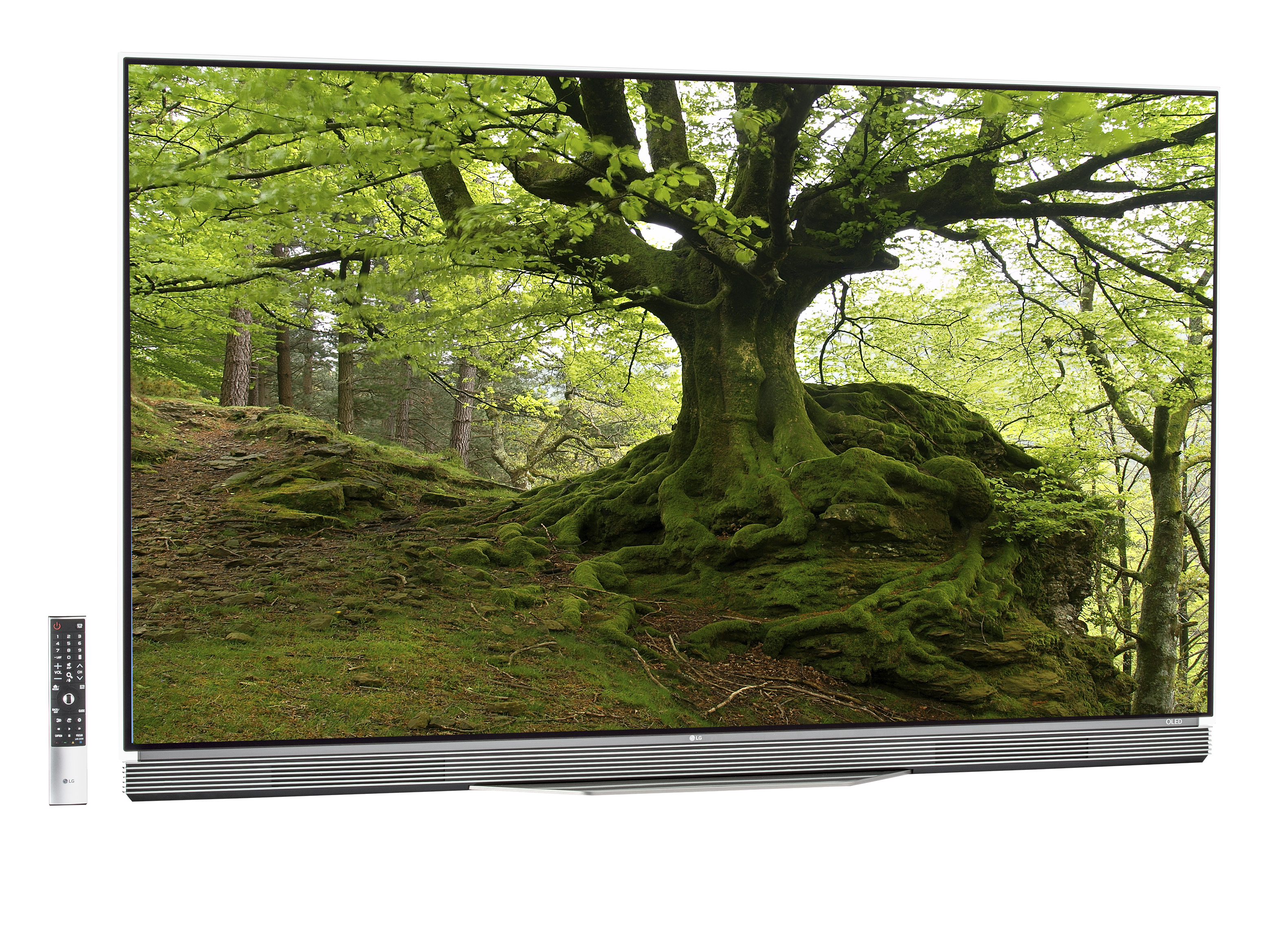 LG OLED65E6P TV Review - Consumer Reports