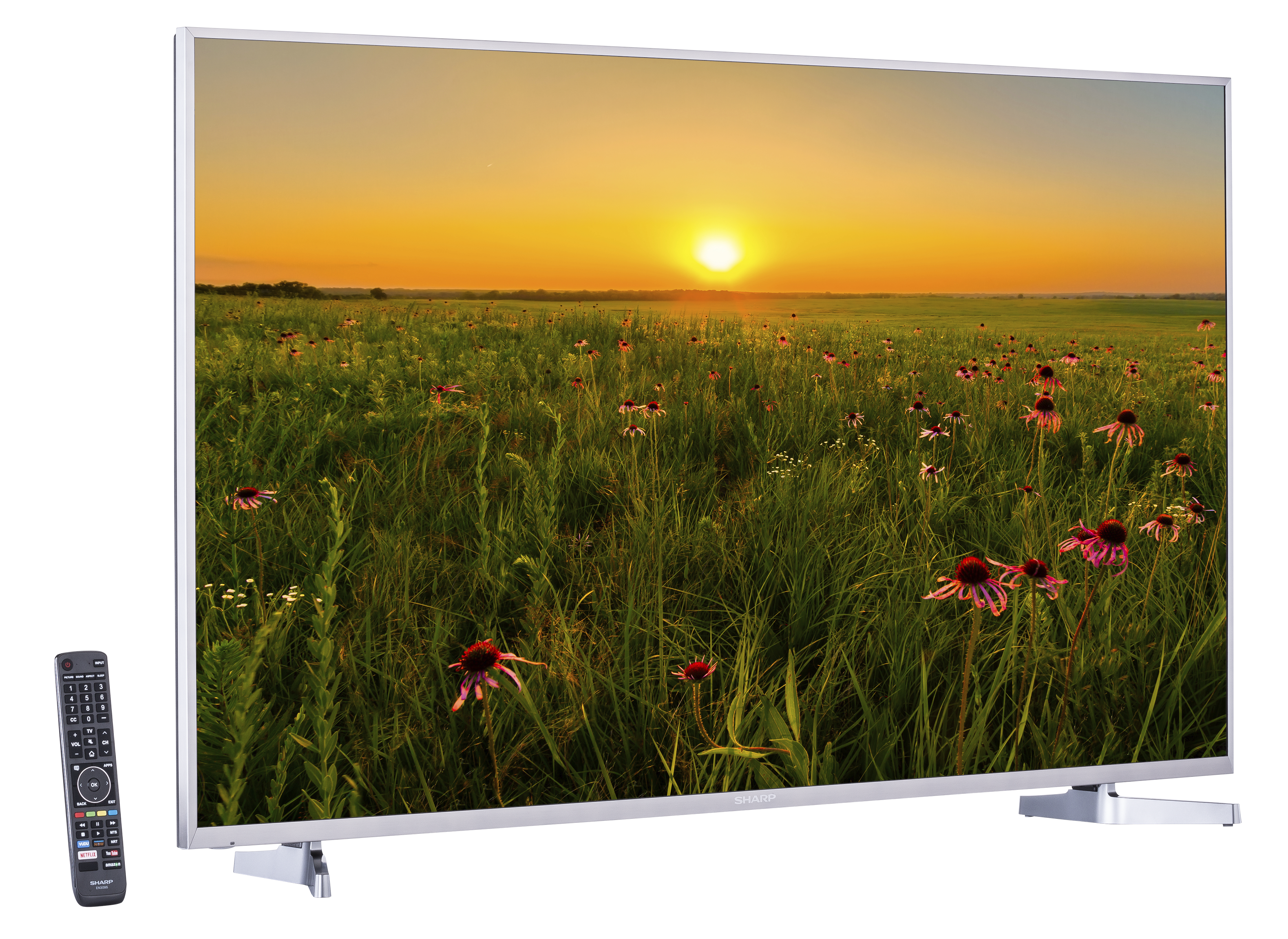 393036-lcdledoledtvs-sharp-