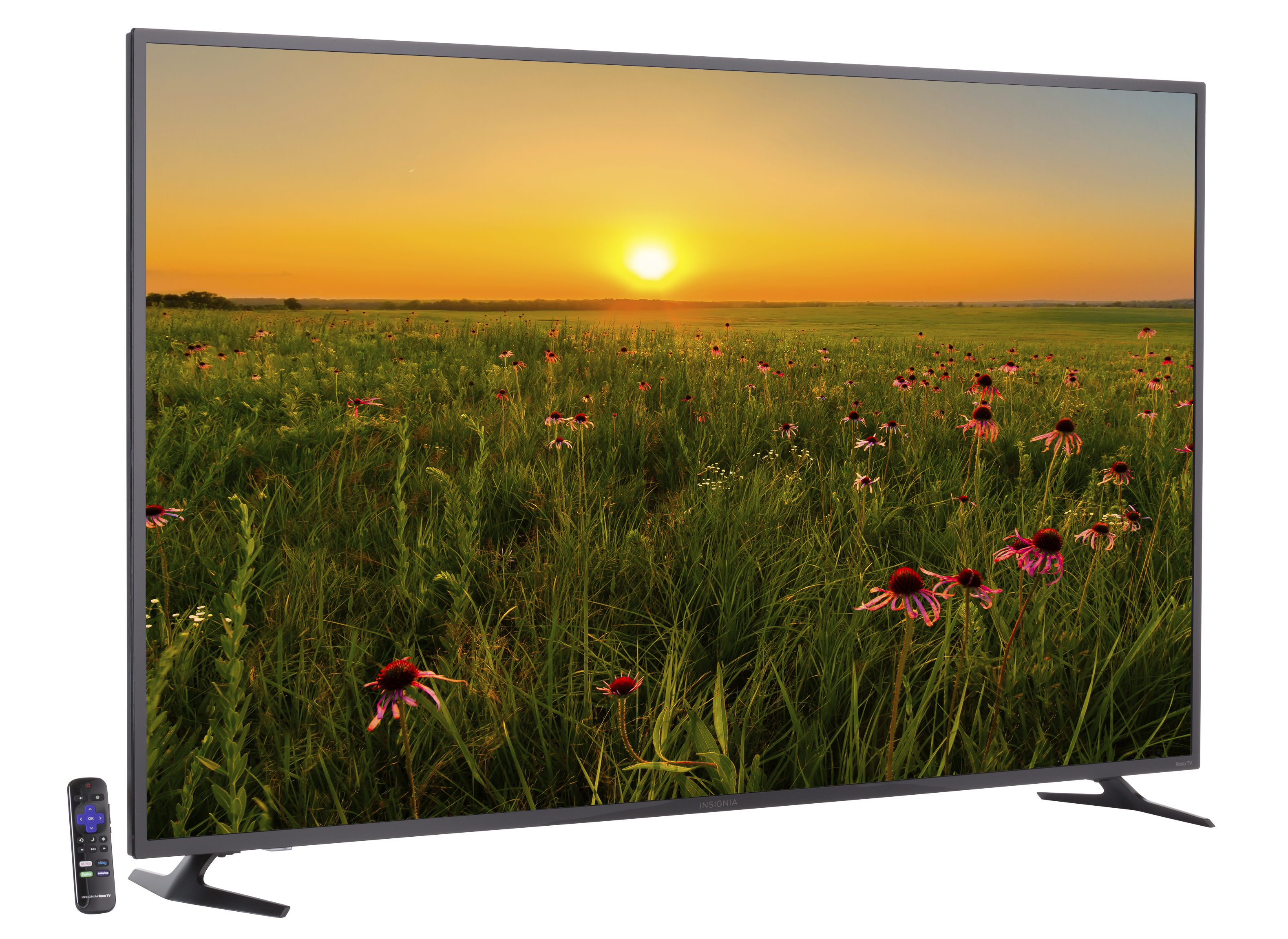 Insignia NS-65DR620NA18 TV Review - Consumer Reports