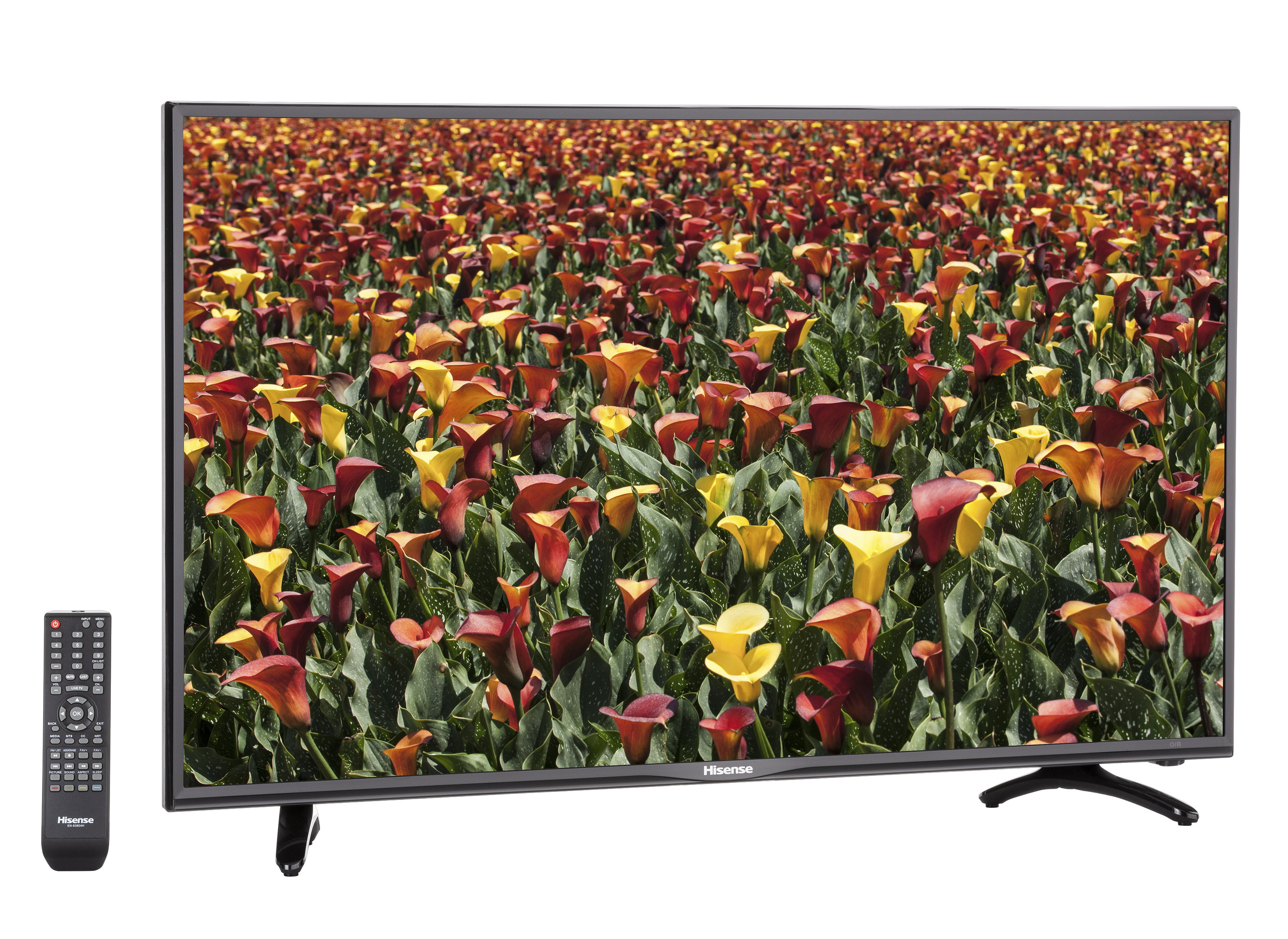 Hisense 40v型テレビ  40H30E 40H30E | ハイセンスジャパン株式会社