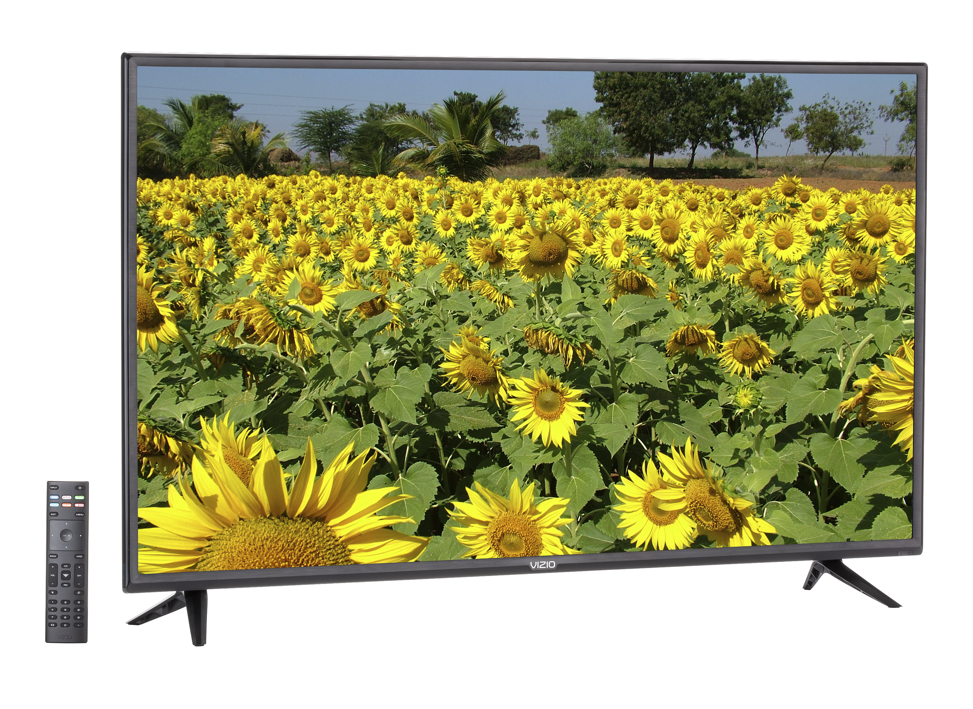 家具 VIZIO TV VIZIO 43