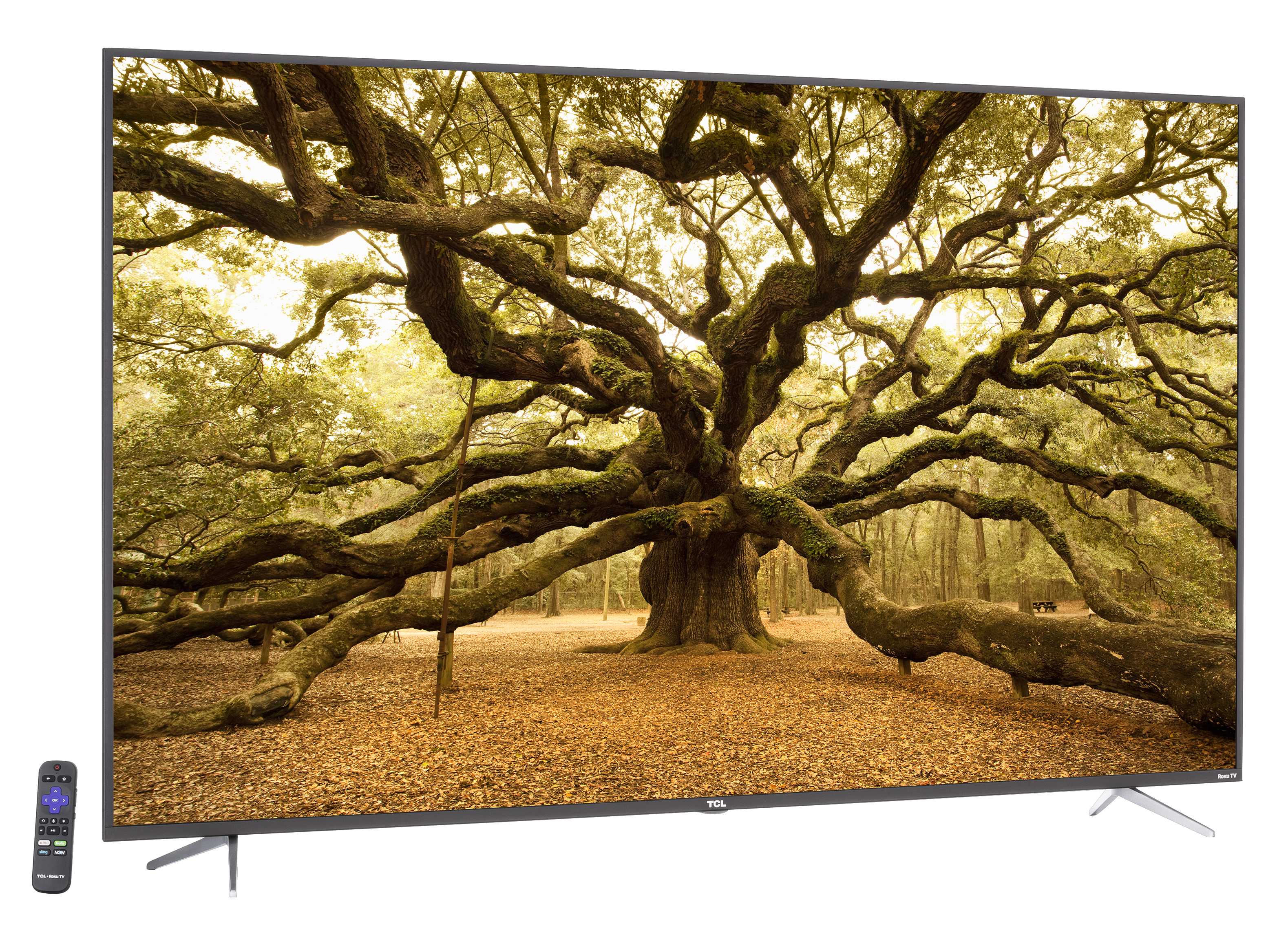 TCL 65S513 TV Review - Consumer Reports