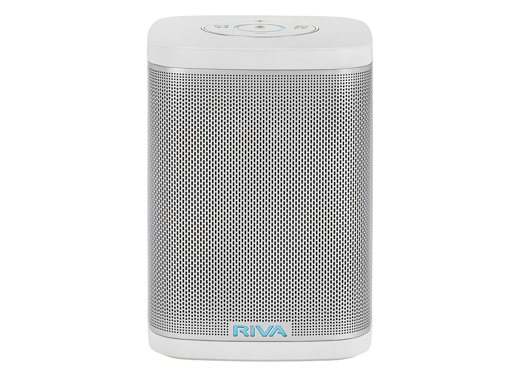 riva concert speaker