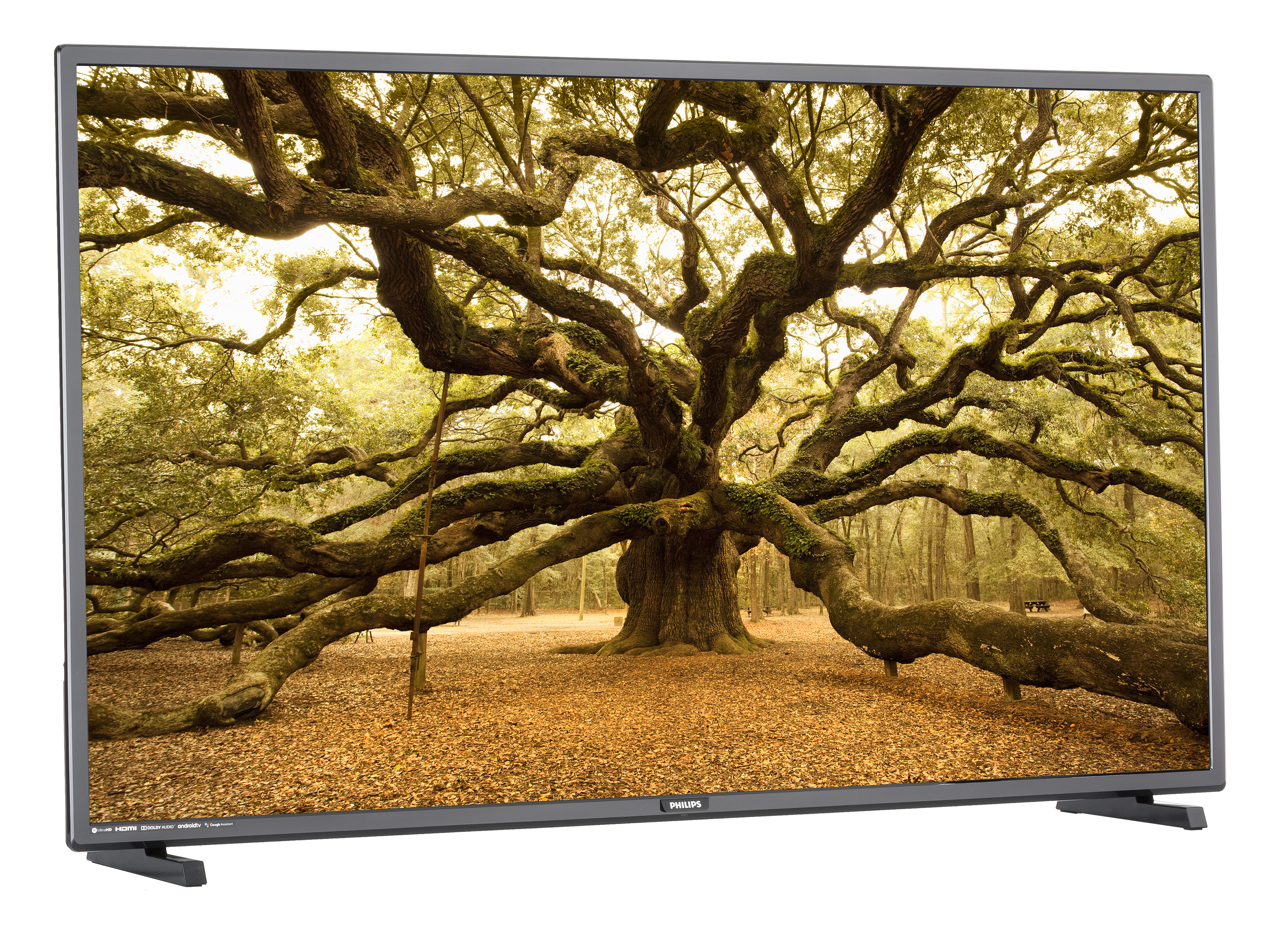 PHILIPS 50型 4K液晶テレビ 本体 PUH7700 Philips 50PFL5604 TV Review - Consumer Reports
