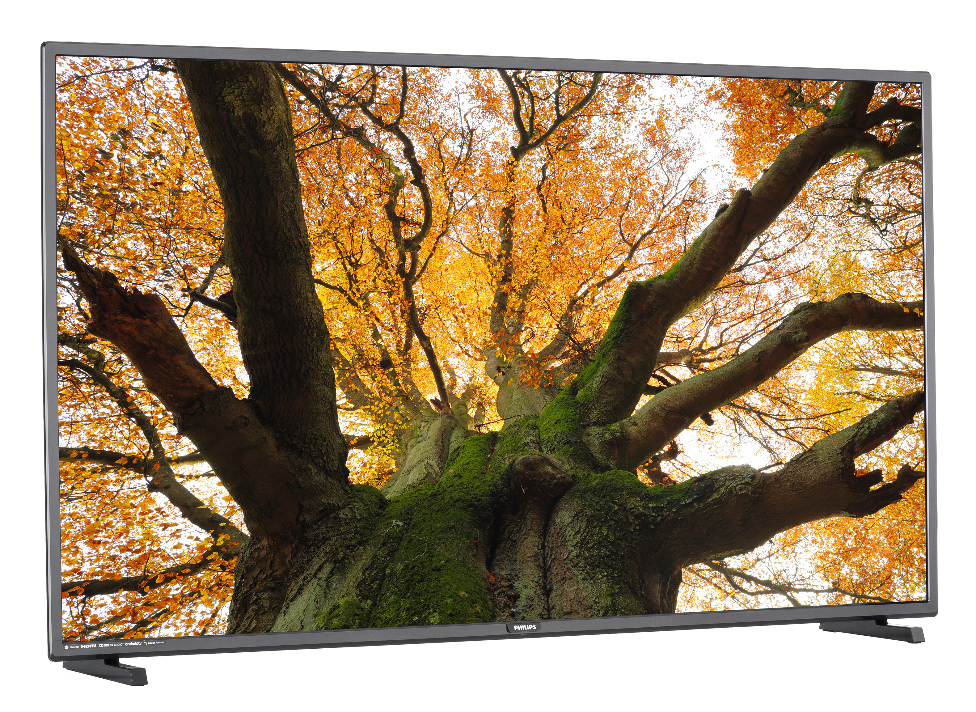 Philips 55PFL5604 TV Review - Consumer Reports