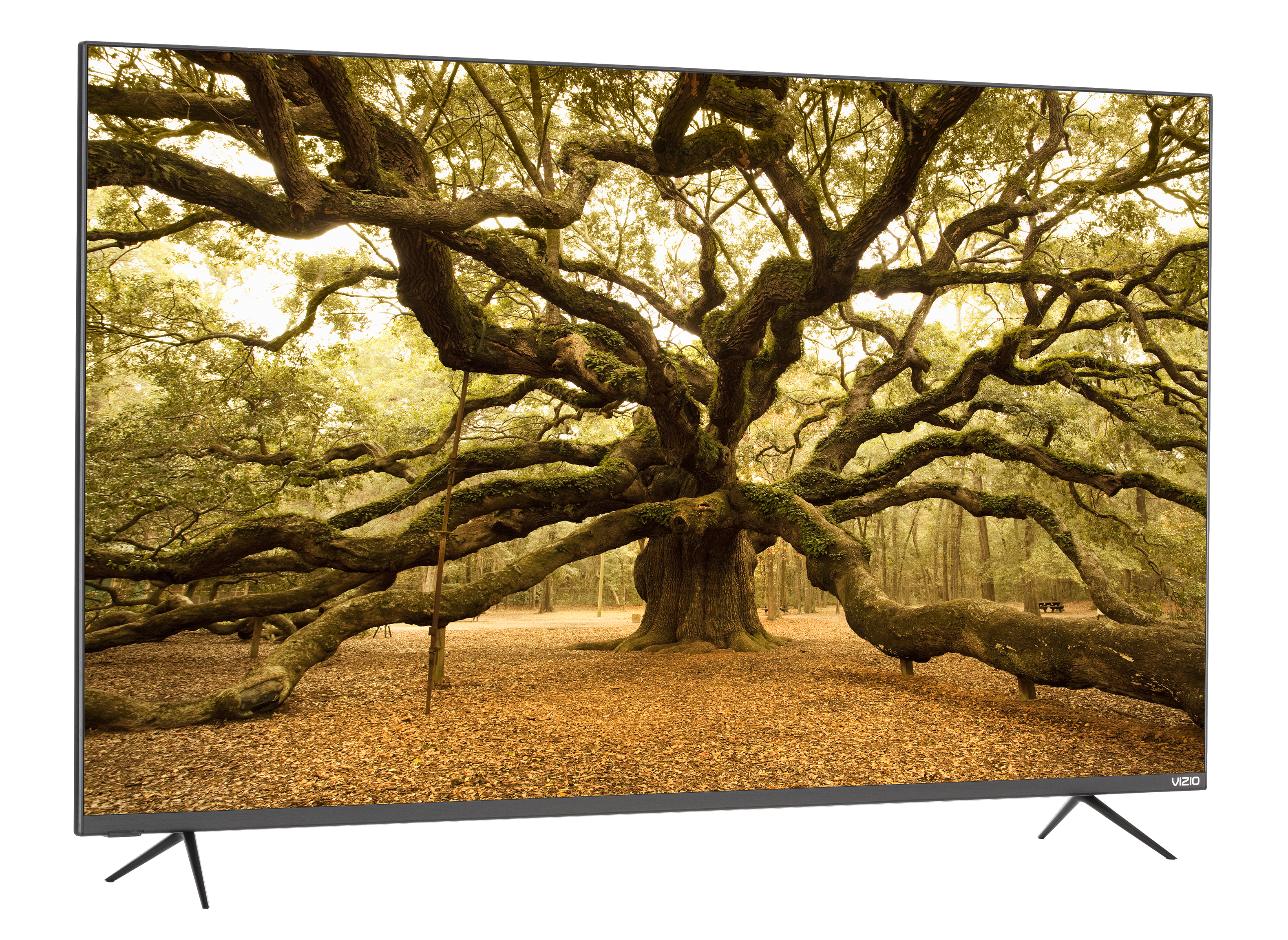 Vizio M558-G1 TV Review - Consumer Reports