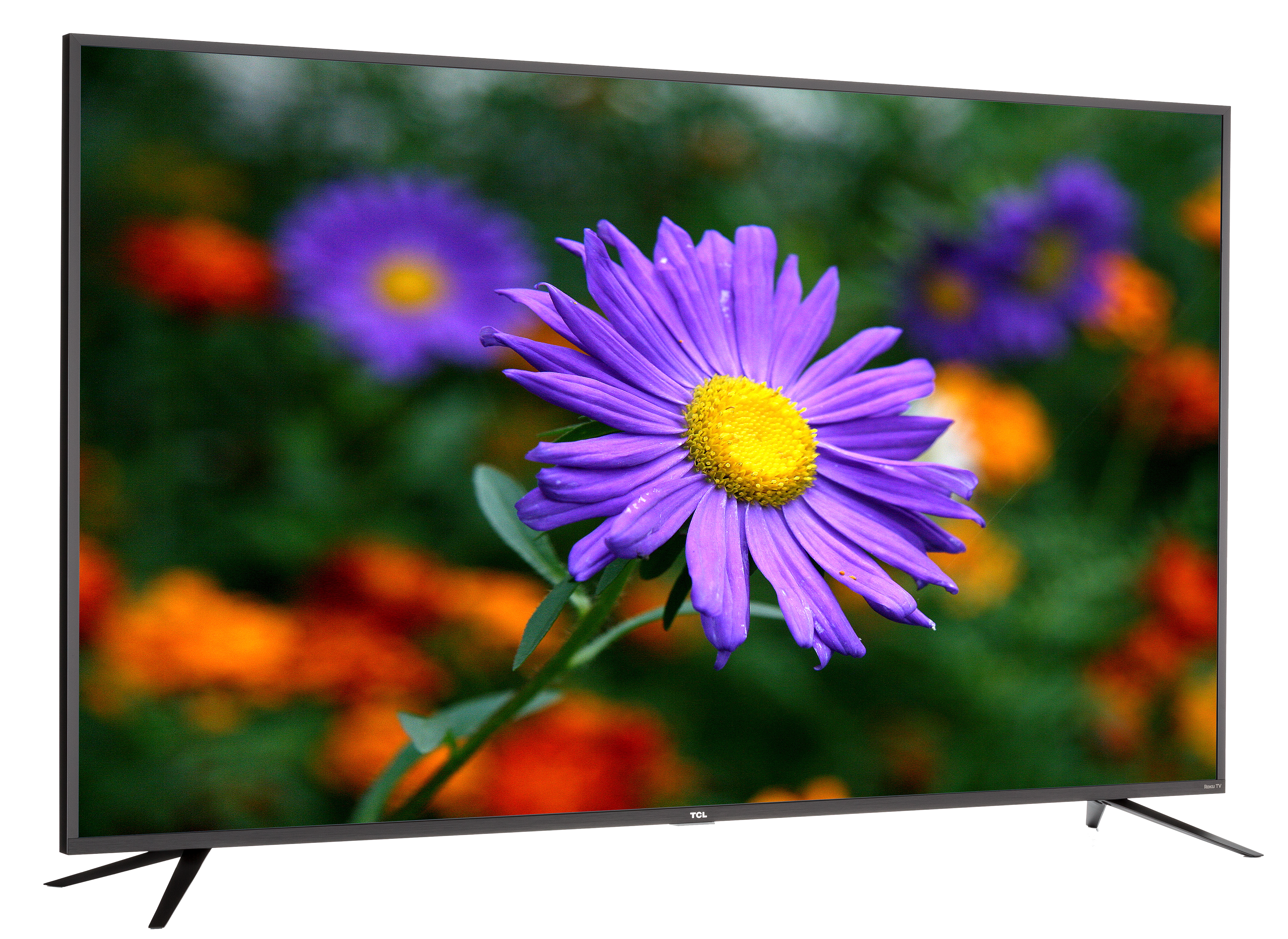 カナリア　TCL55C826 テレビ TCL unveils C855 miniLED LCD TVs with up to 2304 zones, 3500 nits