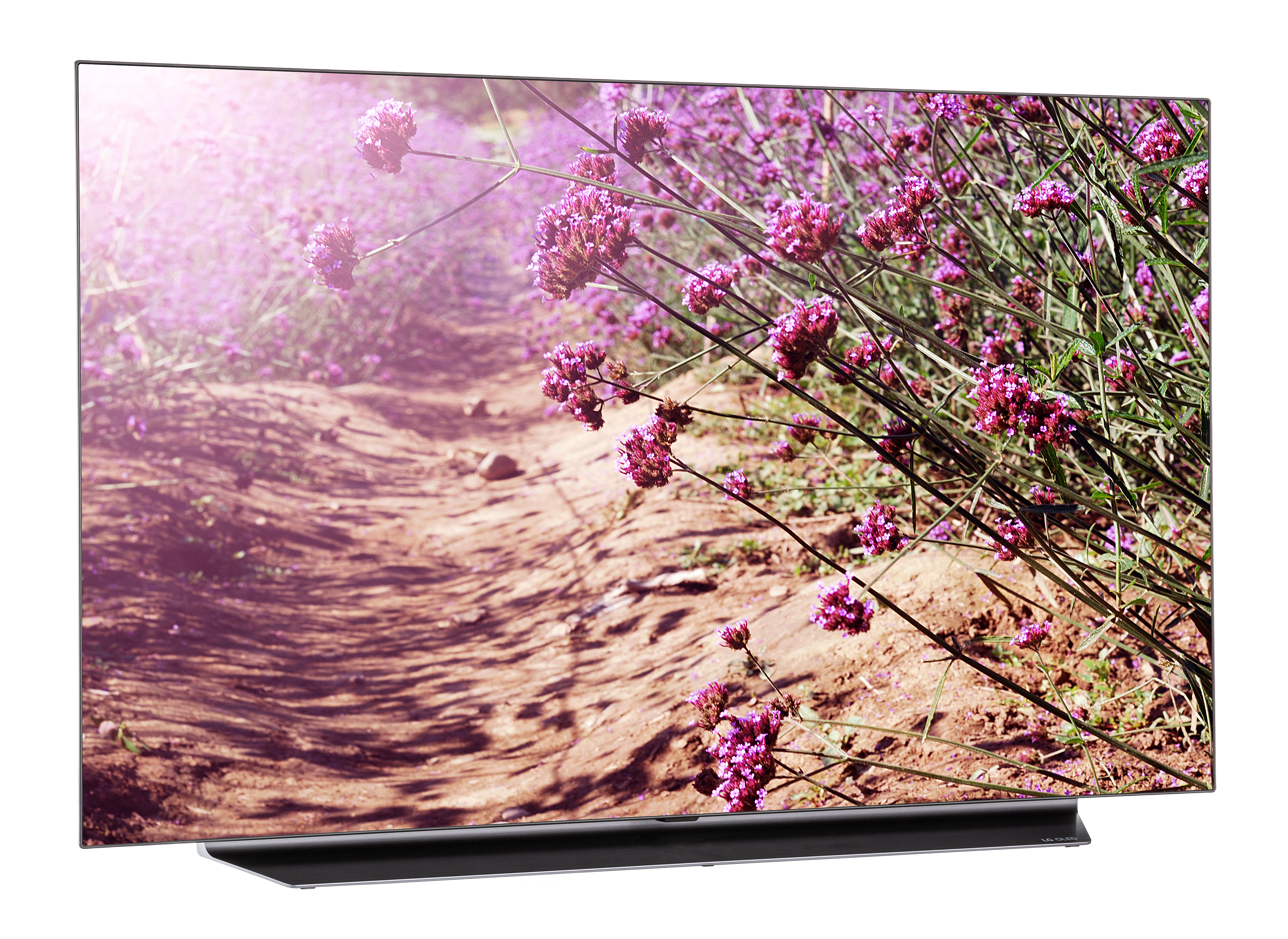 その他 Lg oled 48cxpja 楽天市場】lg oled 48cxpjaの通販