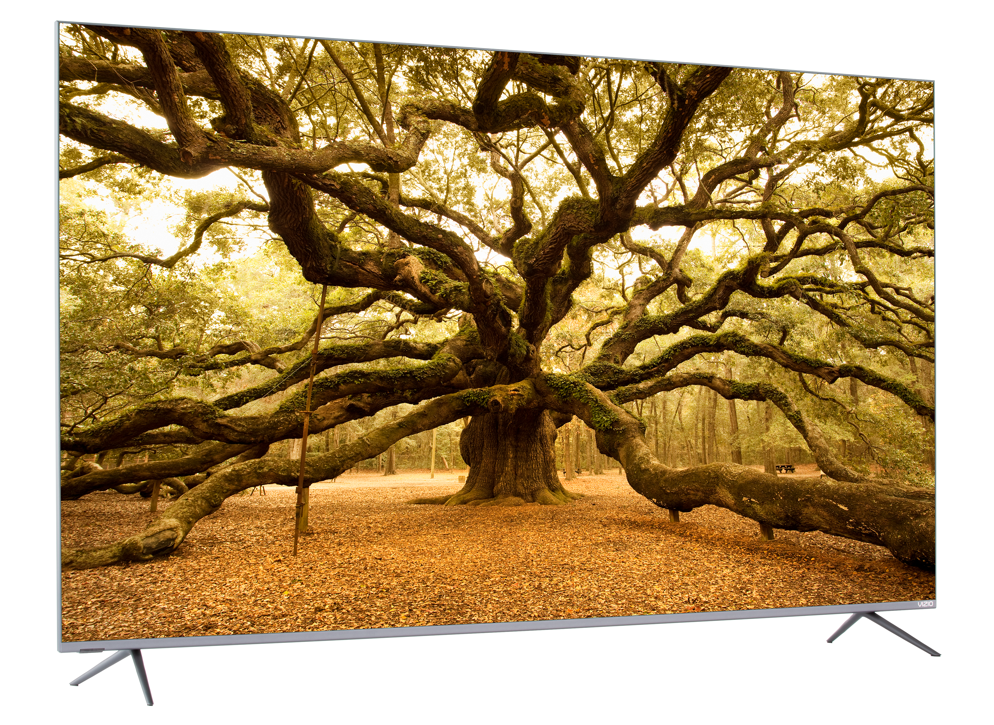Vizio P65Q9-H1 TV Review - Consumer Reports