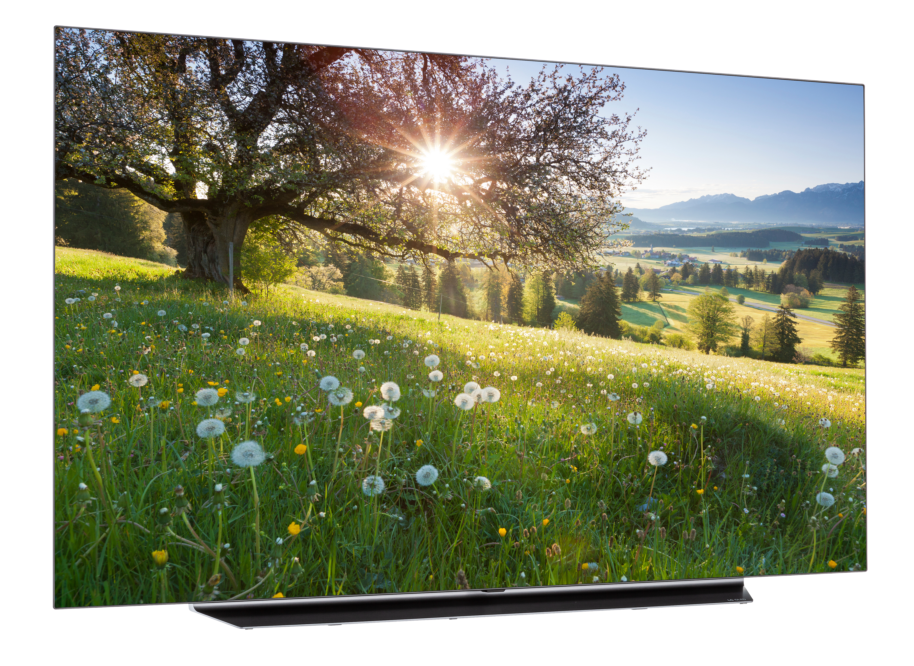 LG65型 LG OLED65CXPUA TV Review - Consumer Reports