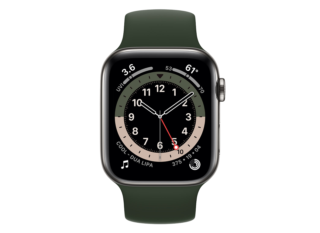Apple Watch Series 6 (40mm) Steel case GPS + Cellular Smartwatch