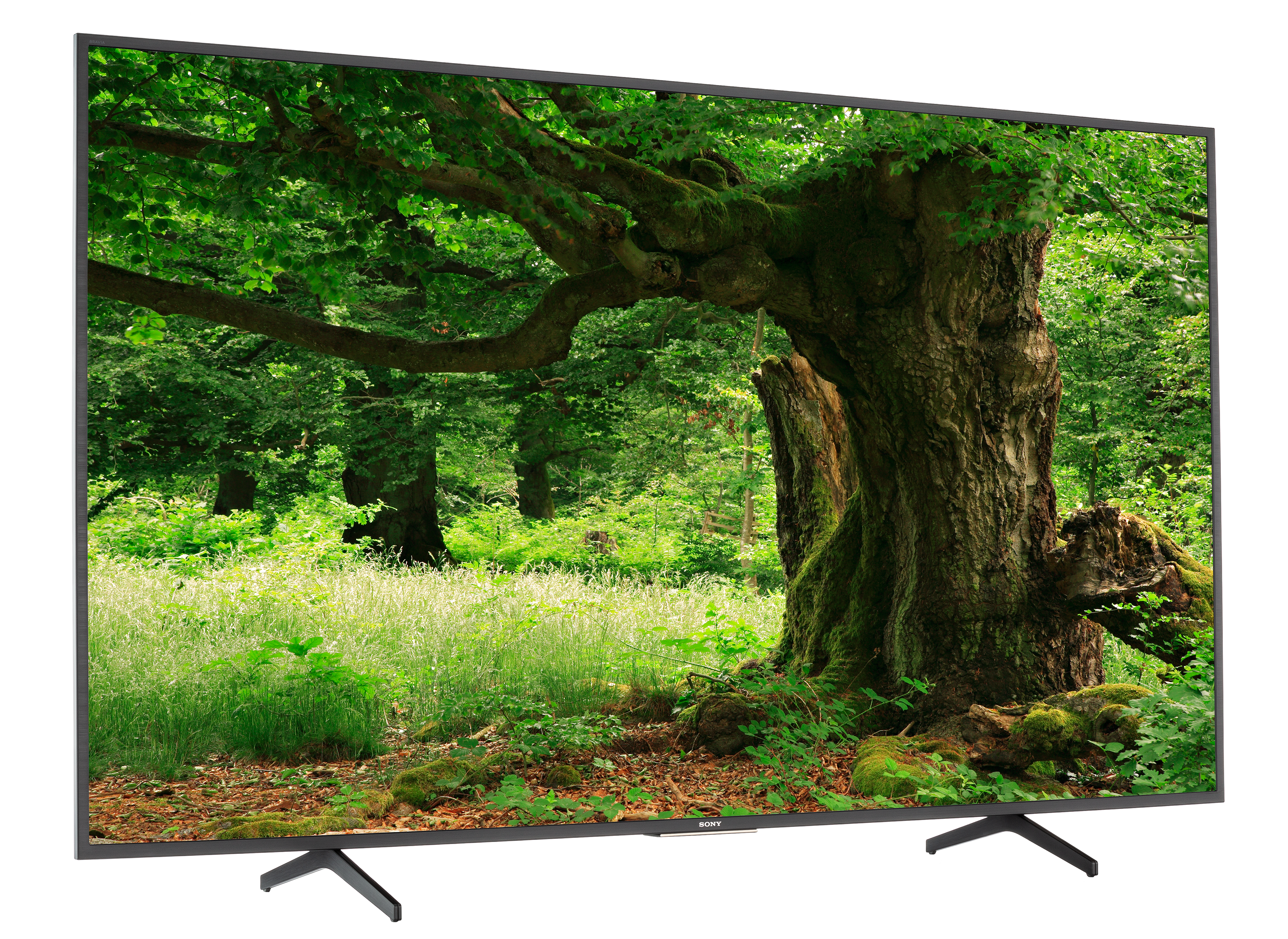 Sony KD75X75CH TV Review - Consumer Reports