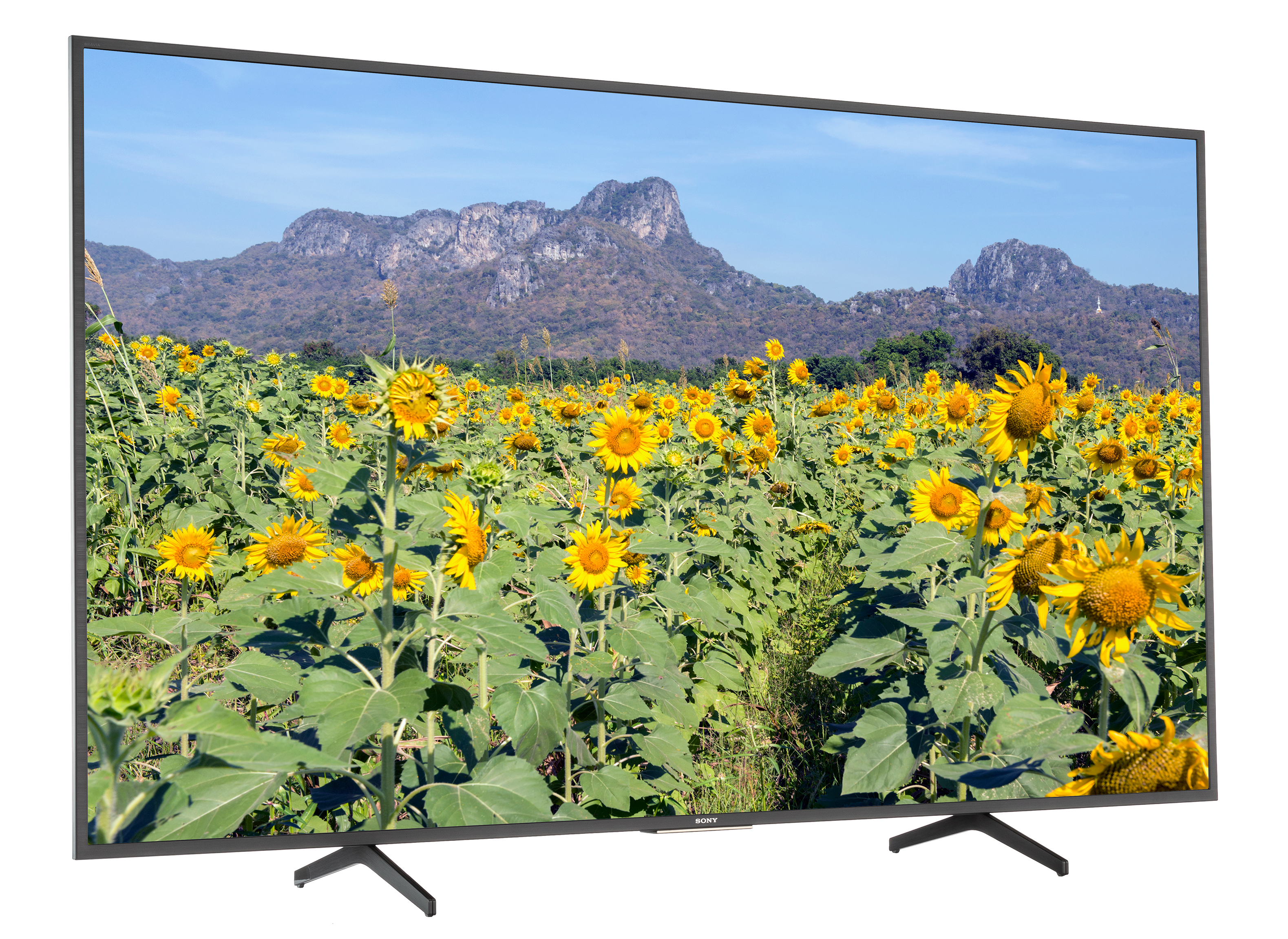 Sony KD75X750H TV Review - Consumer Reports