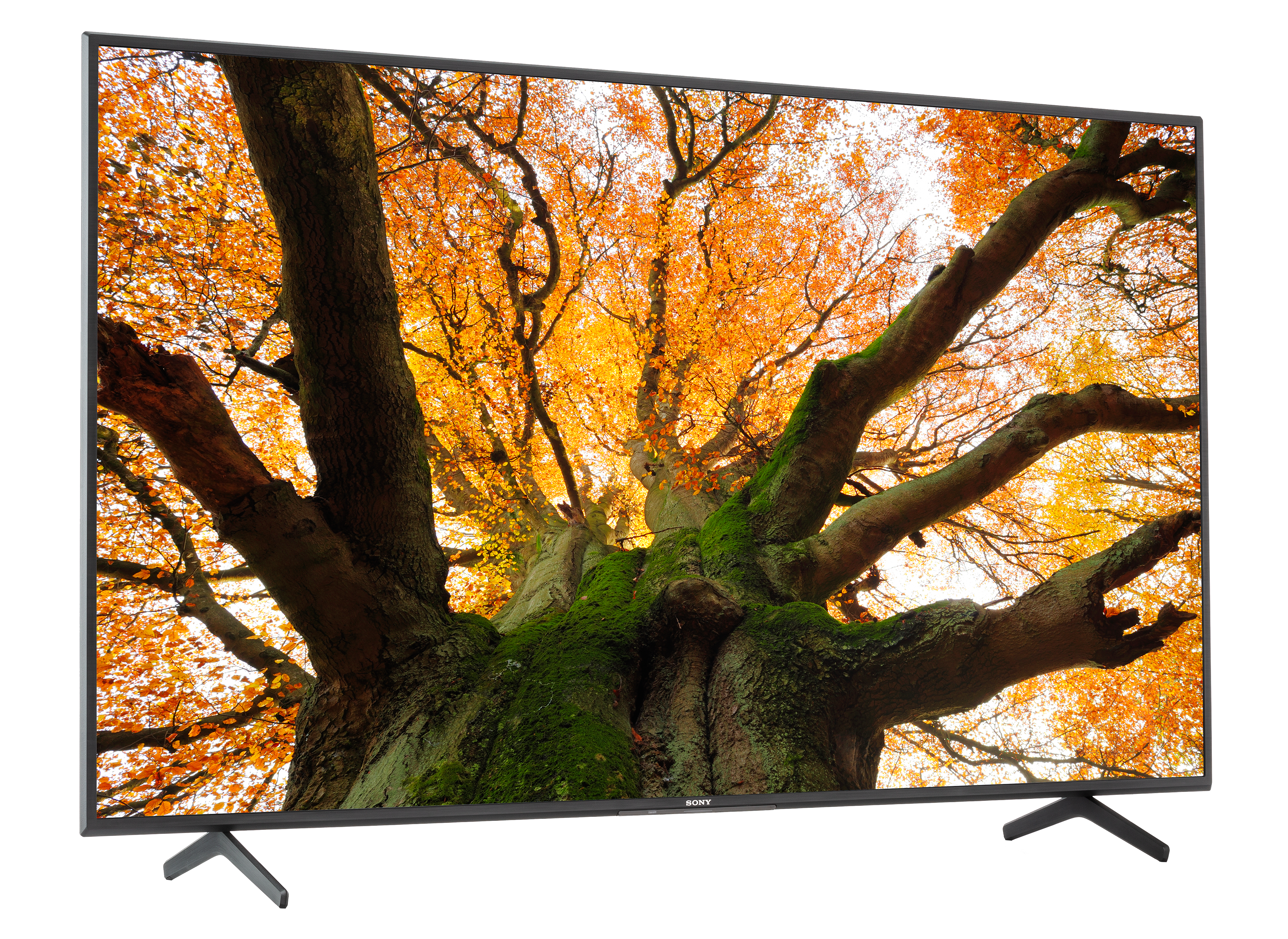 Sony KD65X80J TV Review - Consumer Reports