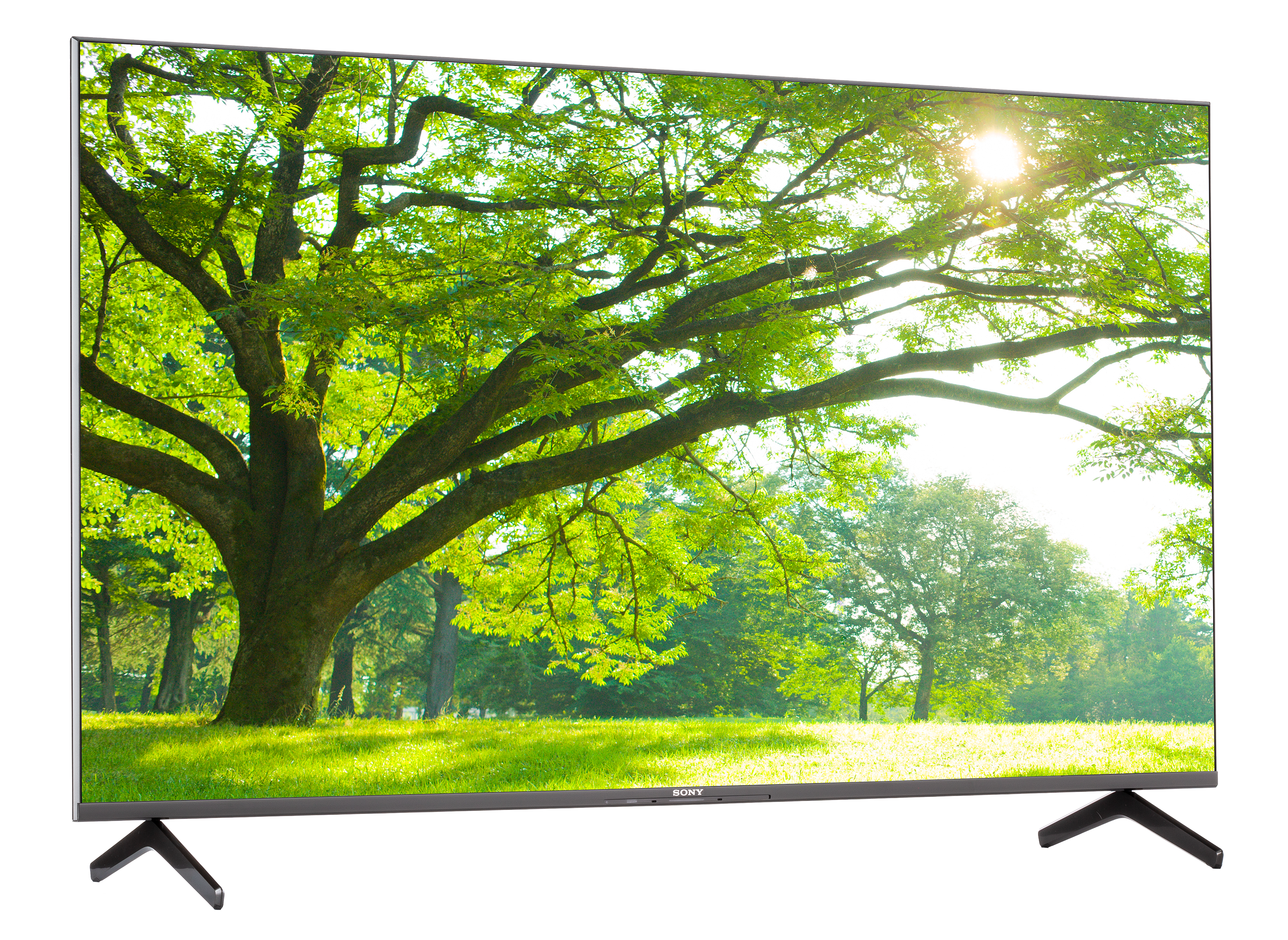 Sony XR-55X90CJ TV Review - Consumer Reports