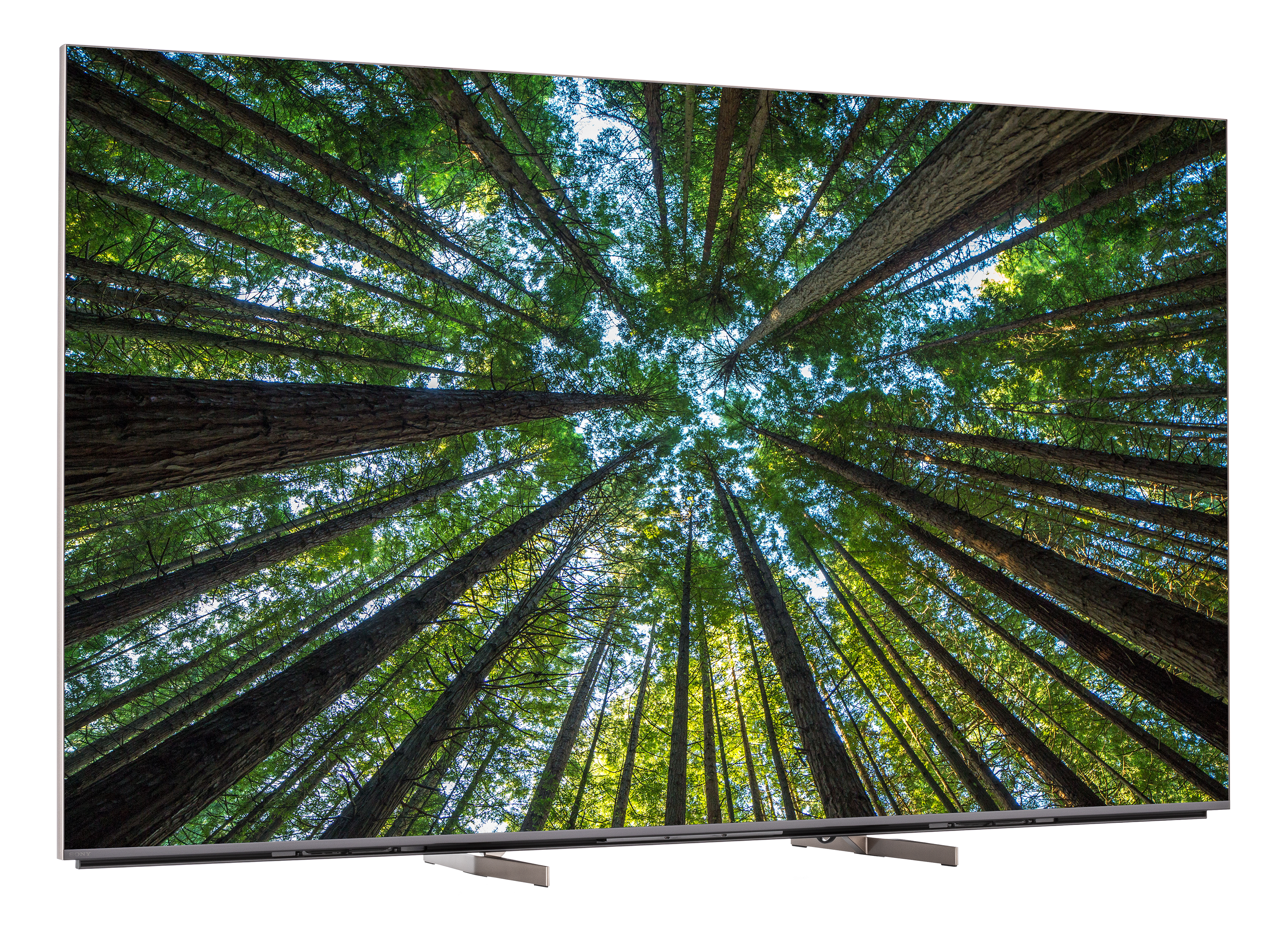 Sony XR-65X95K TV Review - Consumer Reports