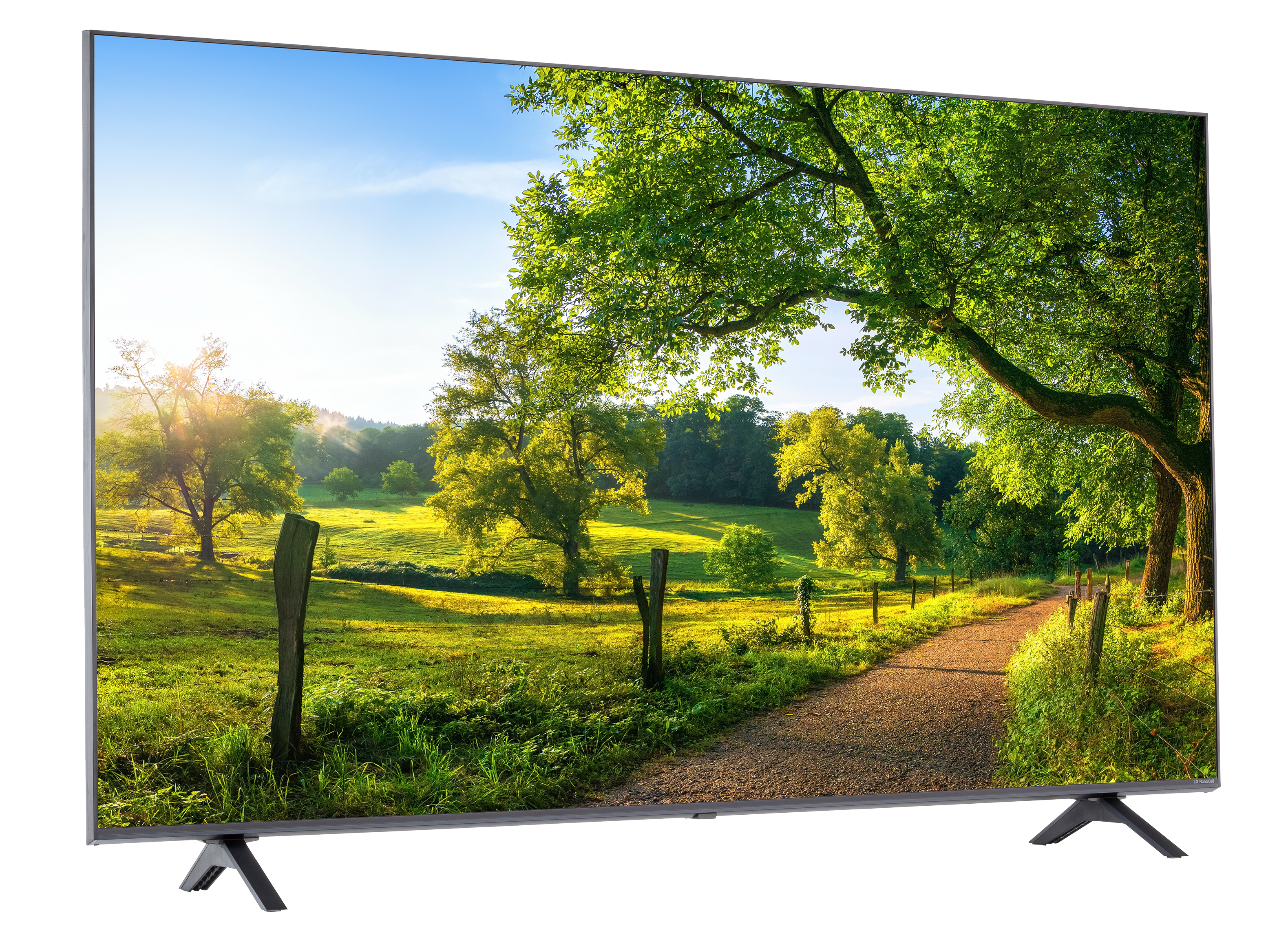 LG: Pantalla LG NanoCell 65 4K SMART TV con ThinQ AI 65NANO75SQA