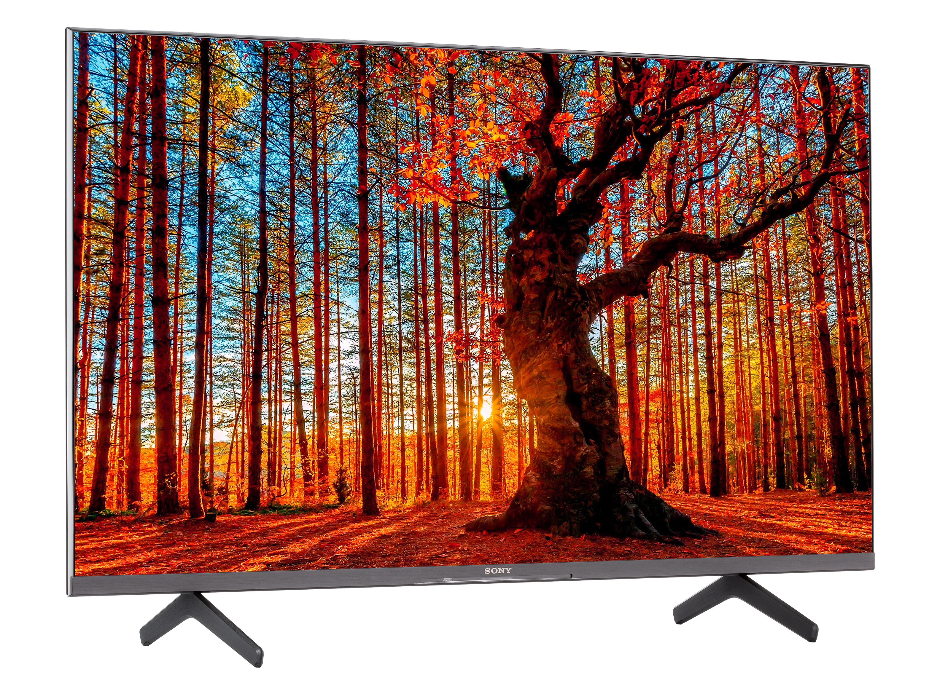 SONY KD43X85K 43 Inch X85K 4K HDR LED TV with smart Google TV (2022) - 42.5  Inch Diagonal