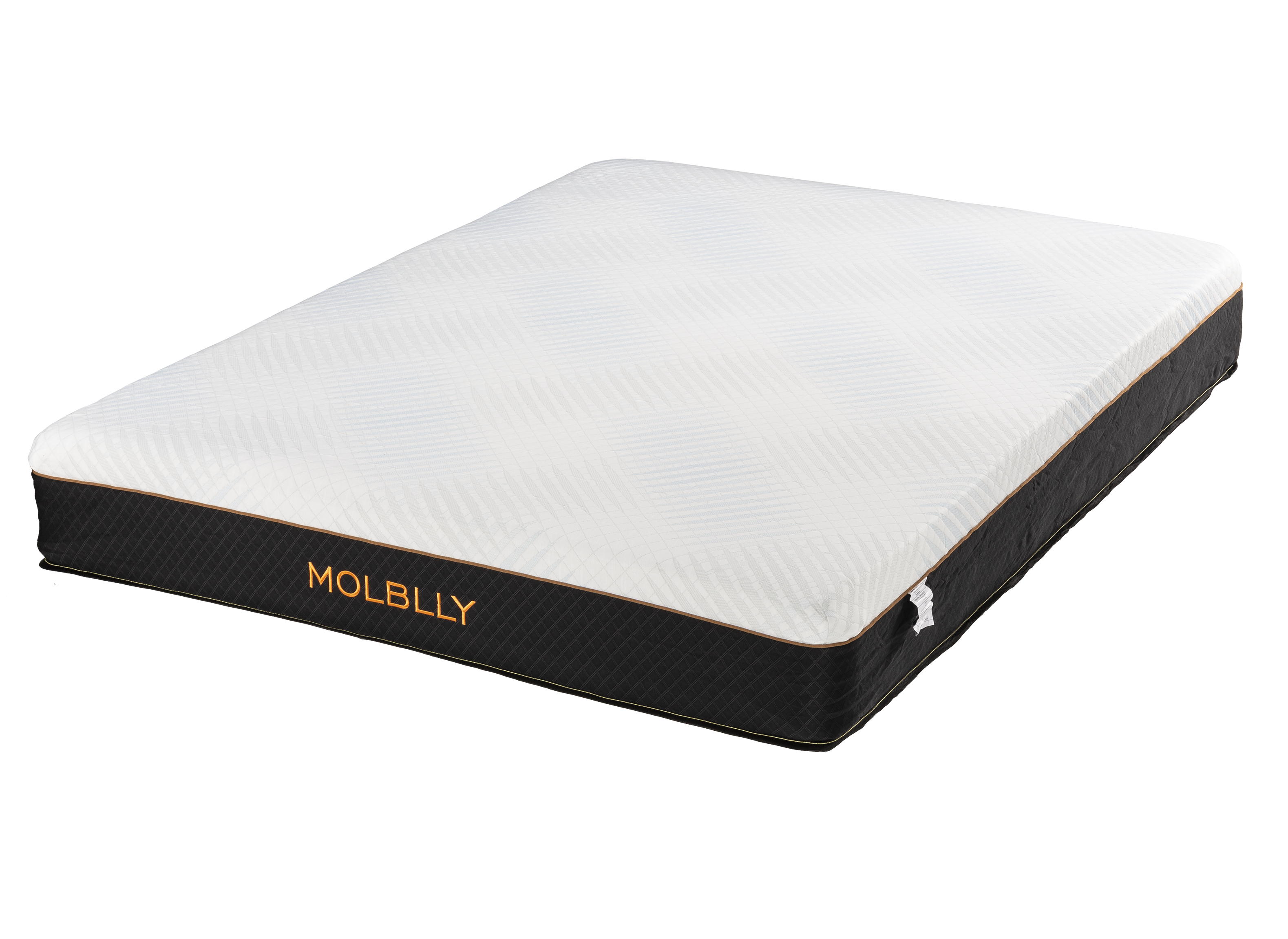 Molblly Hybrid 10