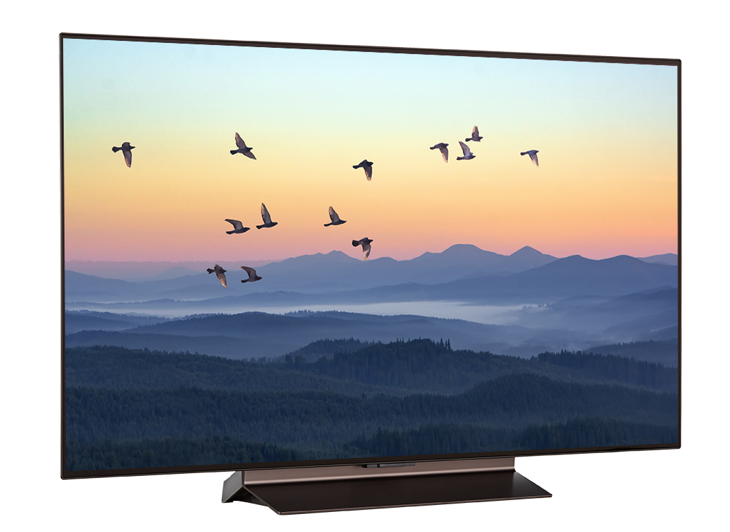 テレビ LG OLED48A1PJA BLACK LG A1 48-Inch 4K Smart OLED TV (OLED48A1PUA) | LG USA