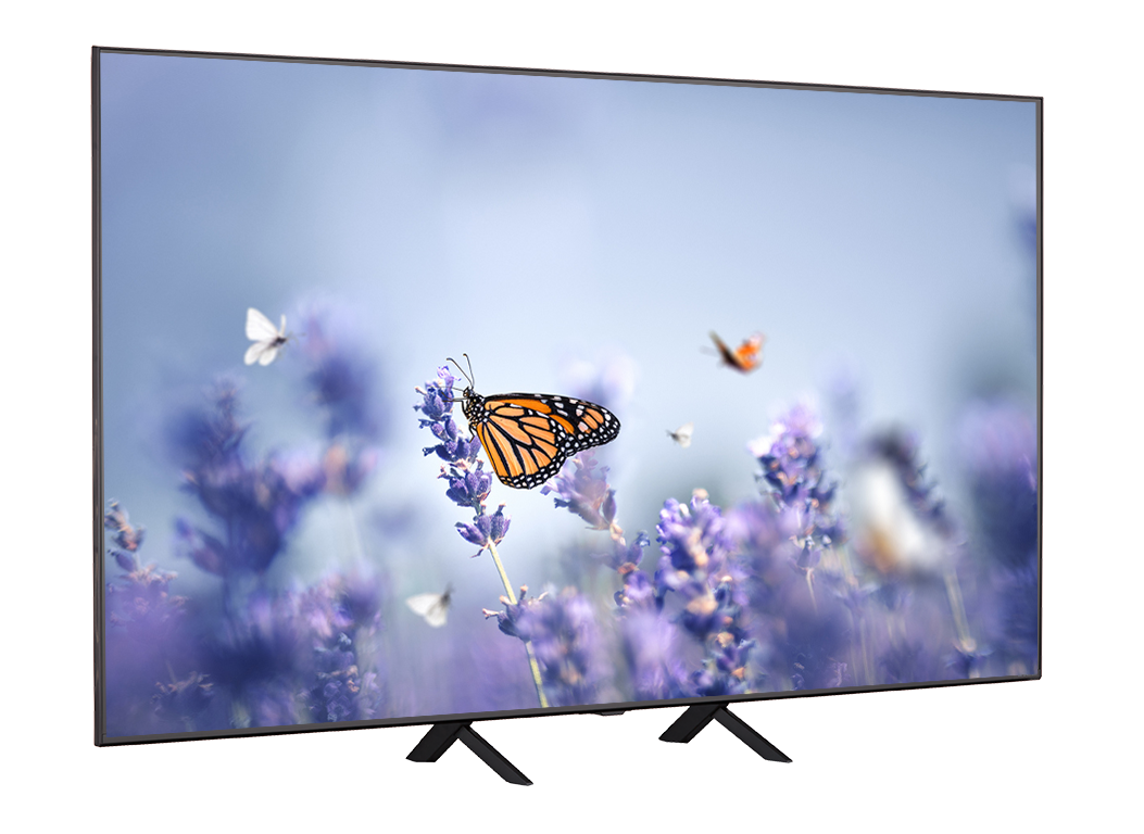 LG 65QNED90TUA TV Review - Consumer Reports