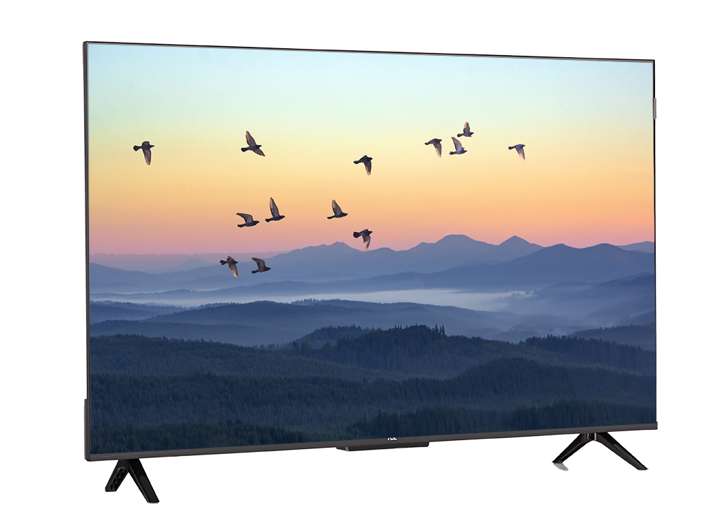 TCL 43インチ　4K液晶テレビ TCL 43Q51BG TV Review - Consumer Reports