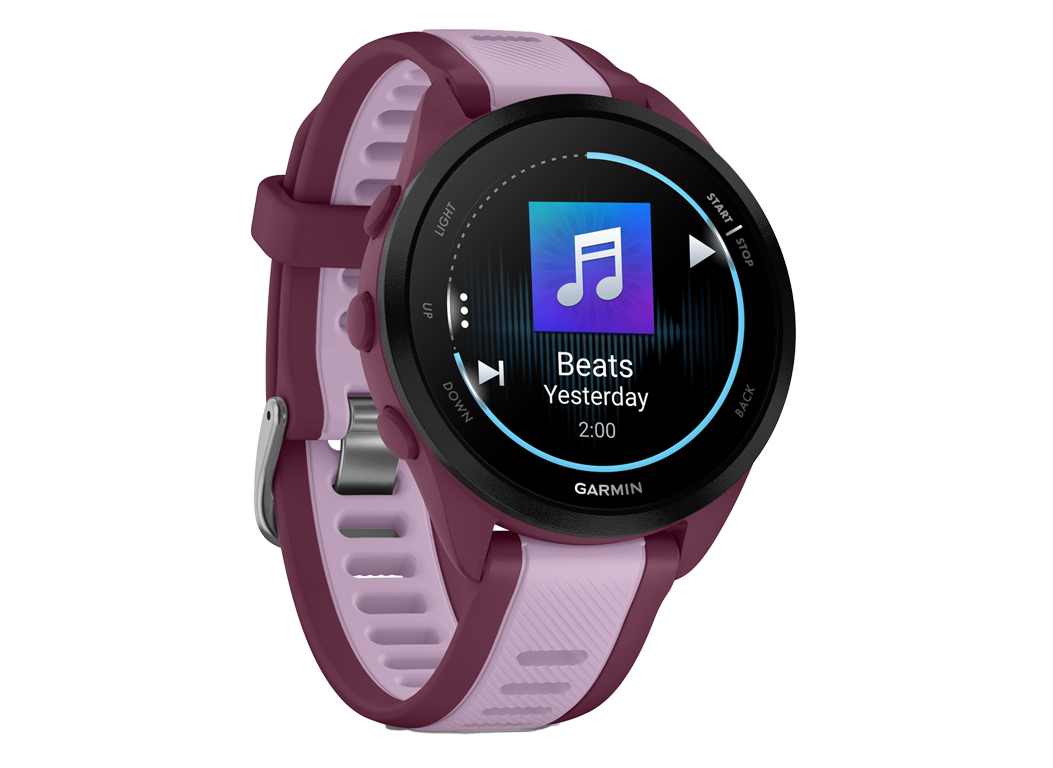 ☆美品☆GARMIN FORERUNNER 165 415754-smartwatches-garmin-