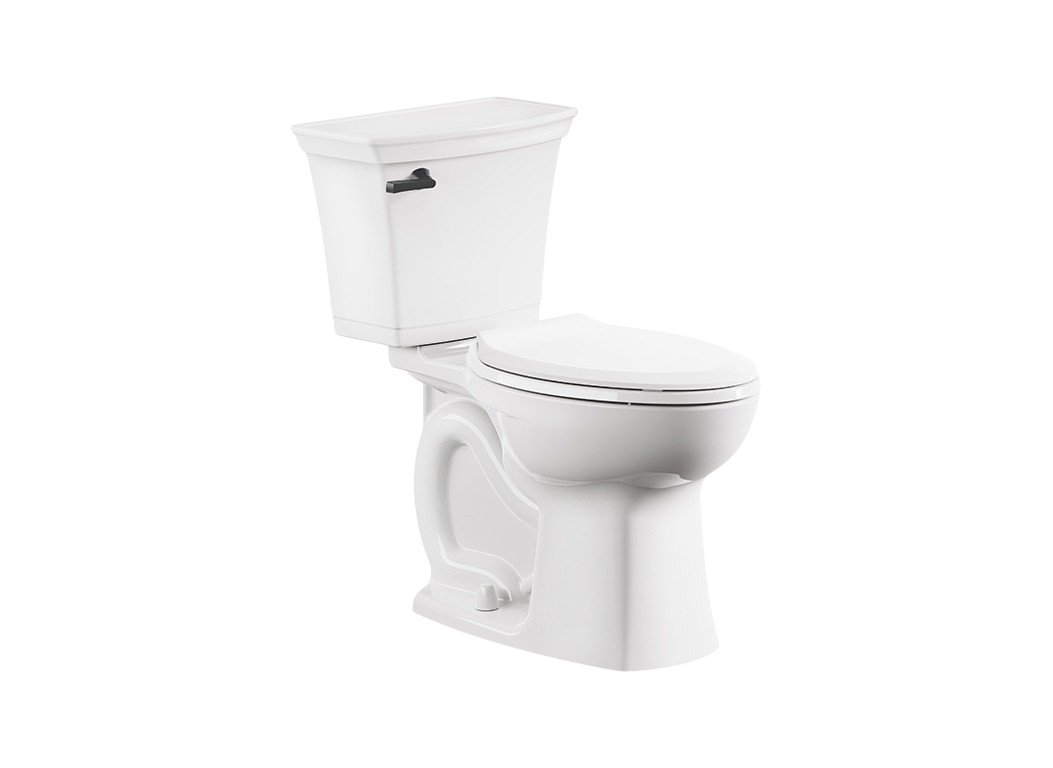 416861-single-flush-toilets-