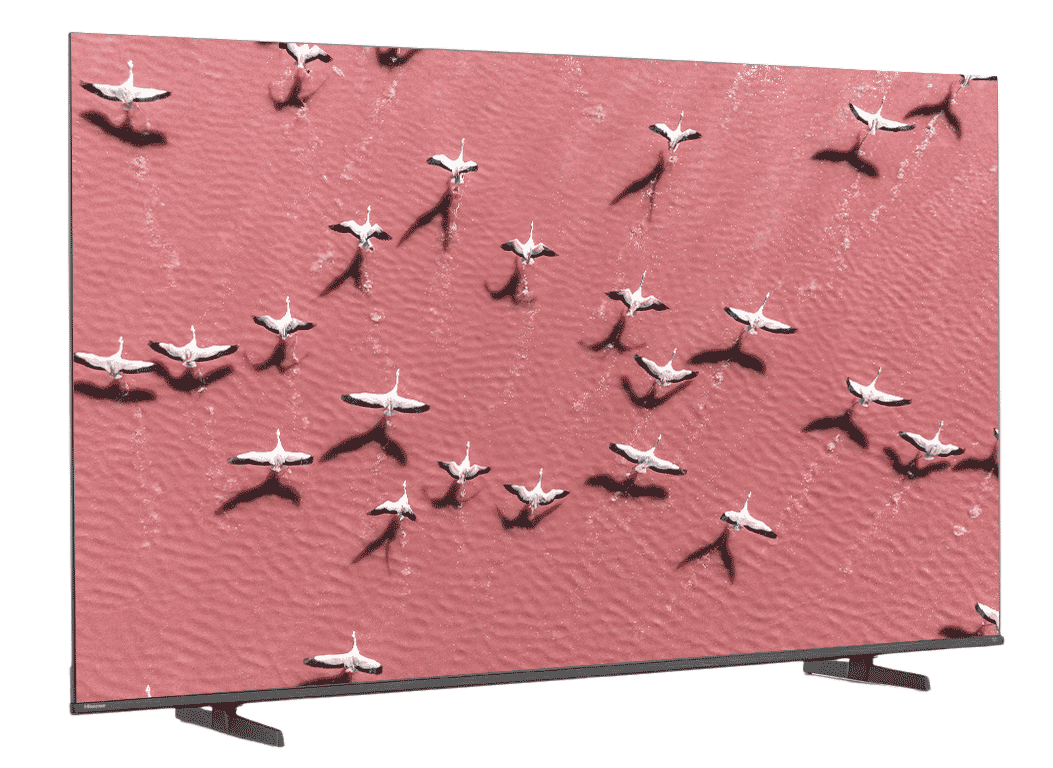 you.ki.kamone 　Hisense 65U8F Hisense 65QD6QF TV Review - Consumer Reports
