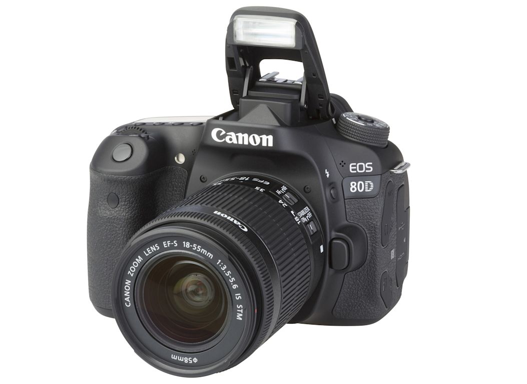 Canon EOS 80D w/ EFS 1855mm 13.55.6mm IS USM Camera Consumer Reports