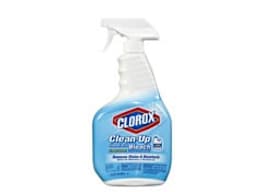 Clorox Clean-up with Bleach