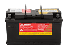 ACDelco 49 AGM