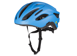 Giant Rev Comp MIPS