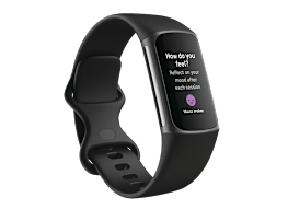 Fitbit Charge 5