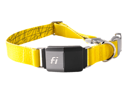 Bark collar reviews consumer reports outlet