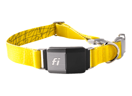 Fi Series 2